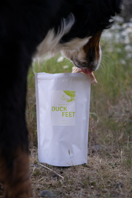 Freeze-Dried Duck Feet