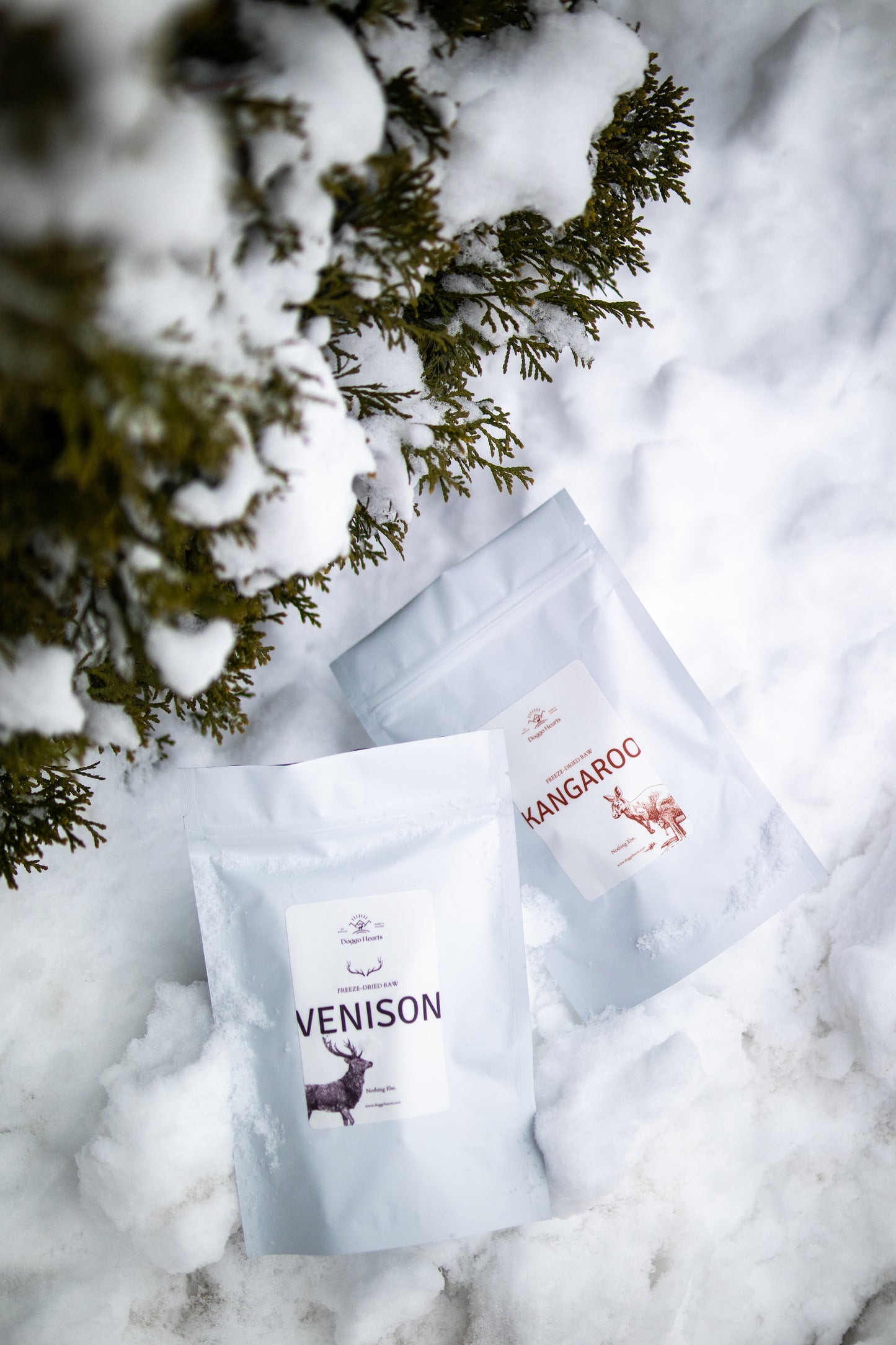 Freeze-Dried Kangaroo