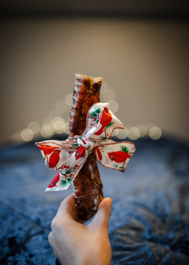 Beef Trachea