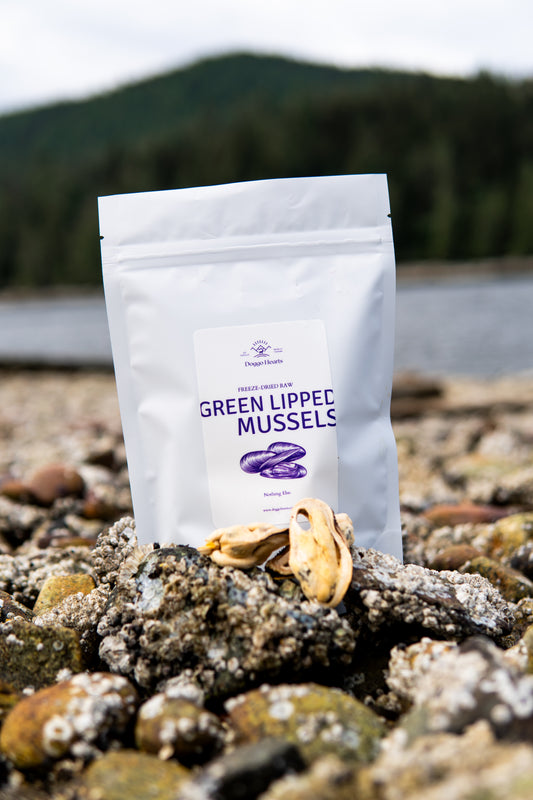 Green-Lipped Mussels (Whole)