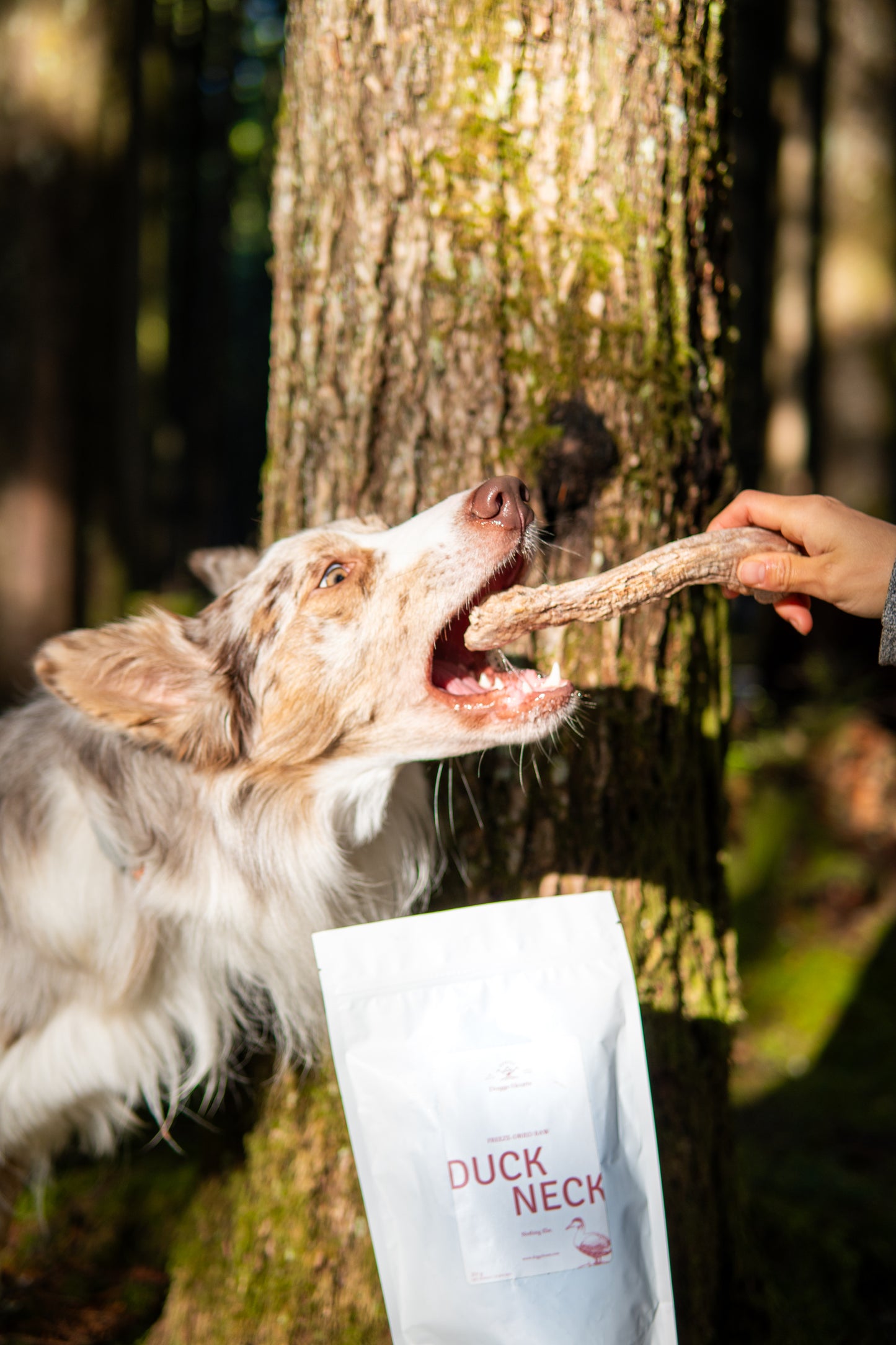 Freeze-Dried Duck Necks