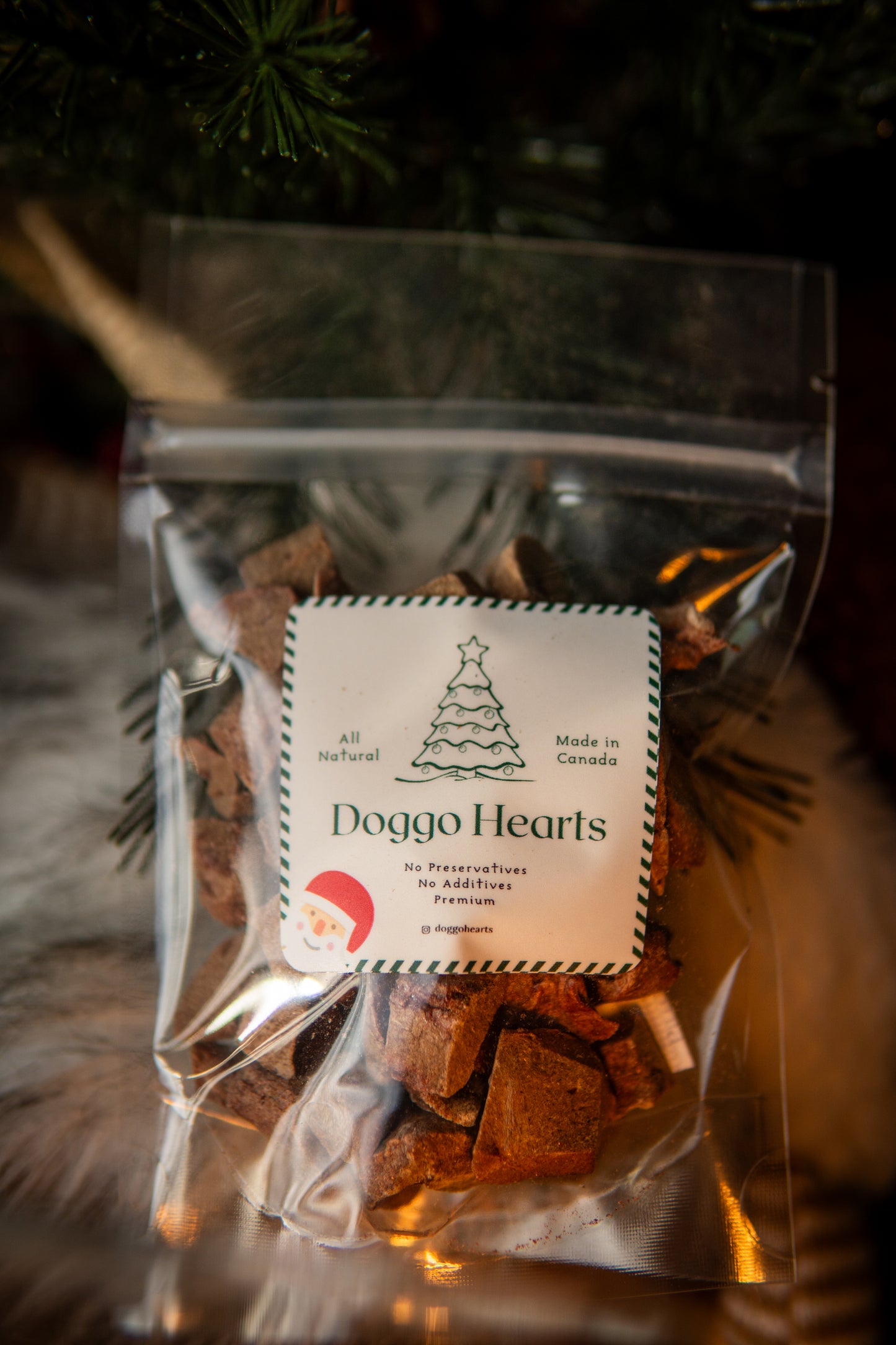 Freeze-Dried Bison Organ