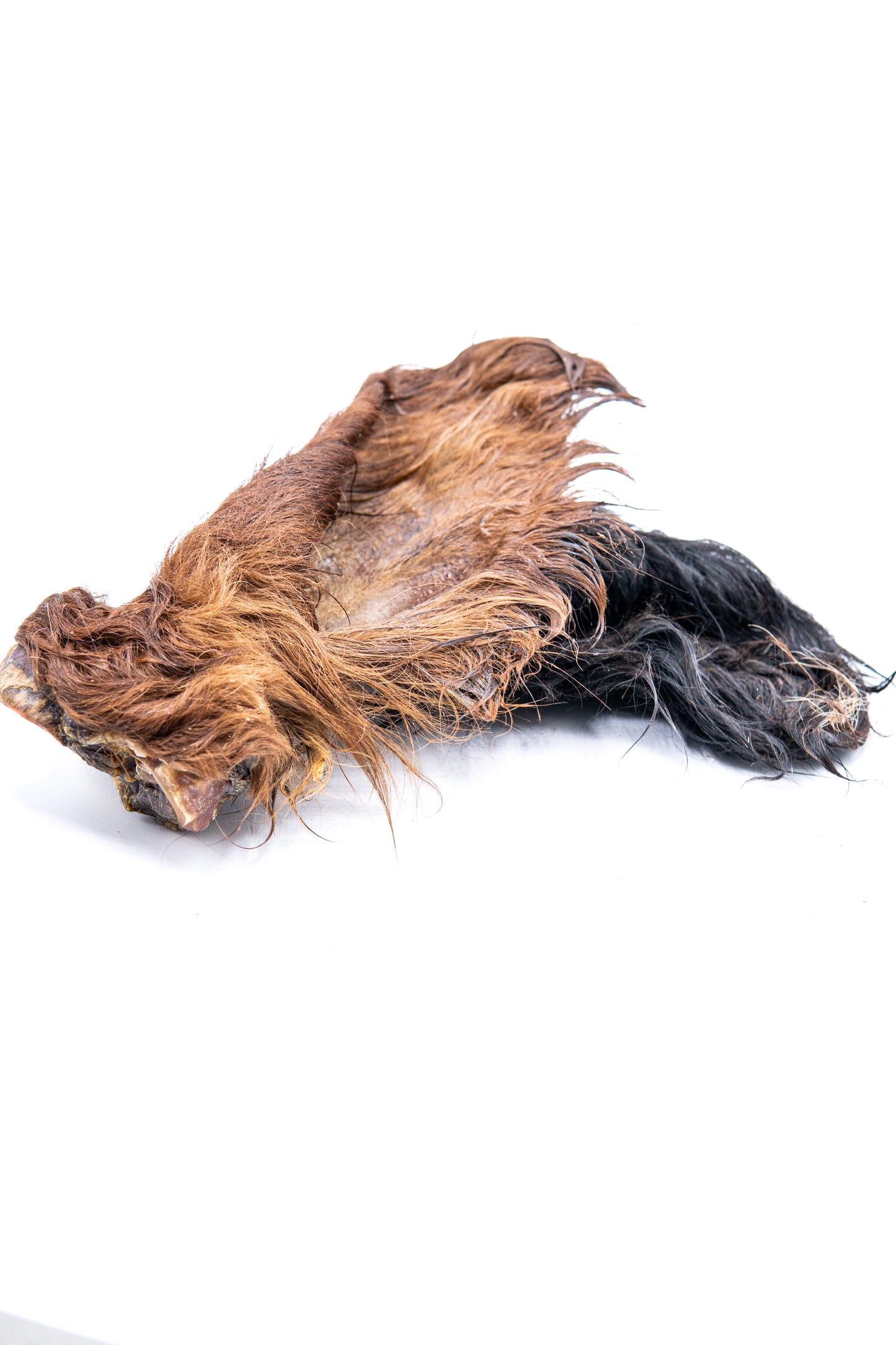 Cow Ear