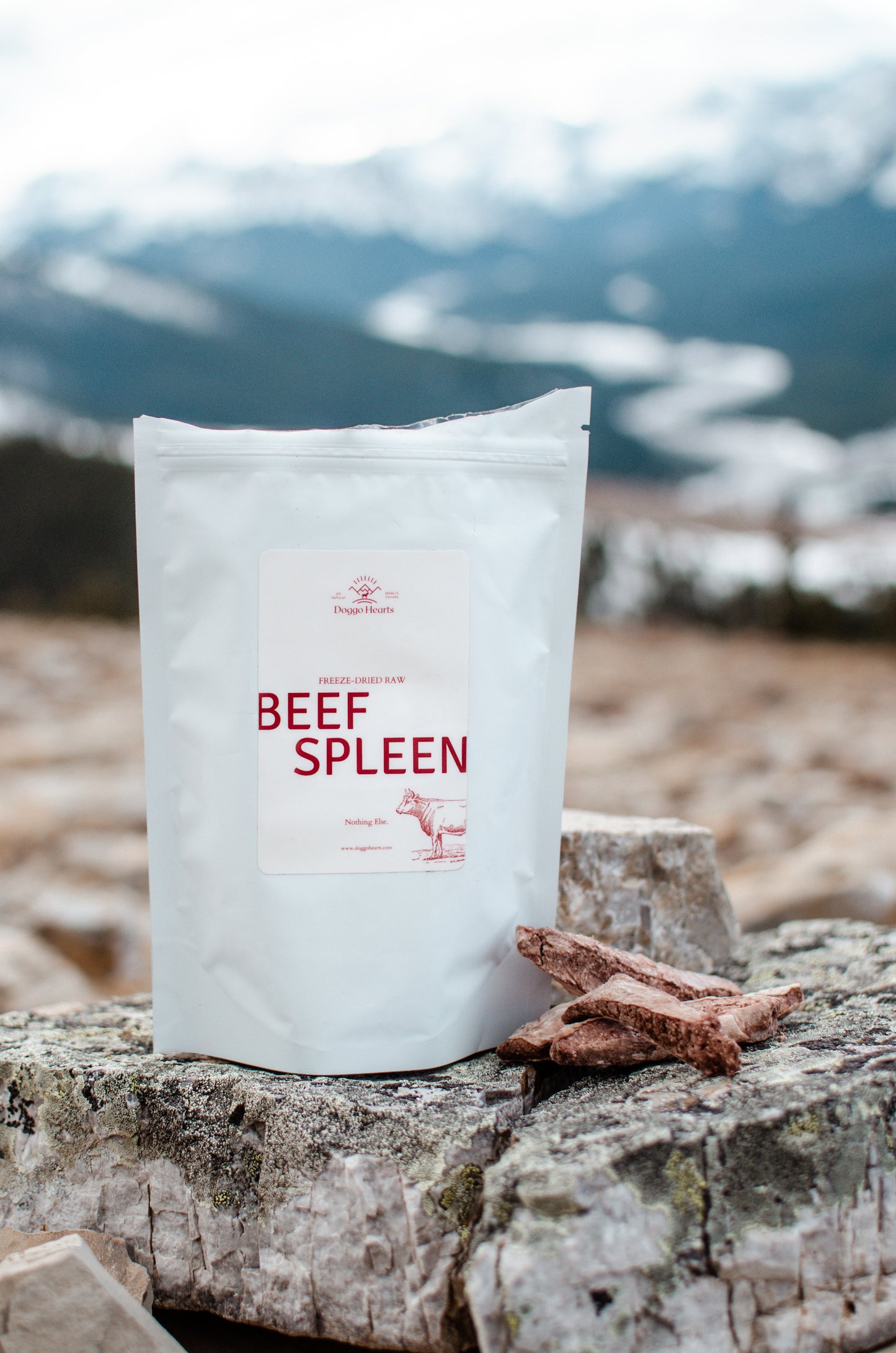 Freeze-Dried Beef Spleen