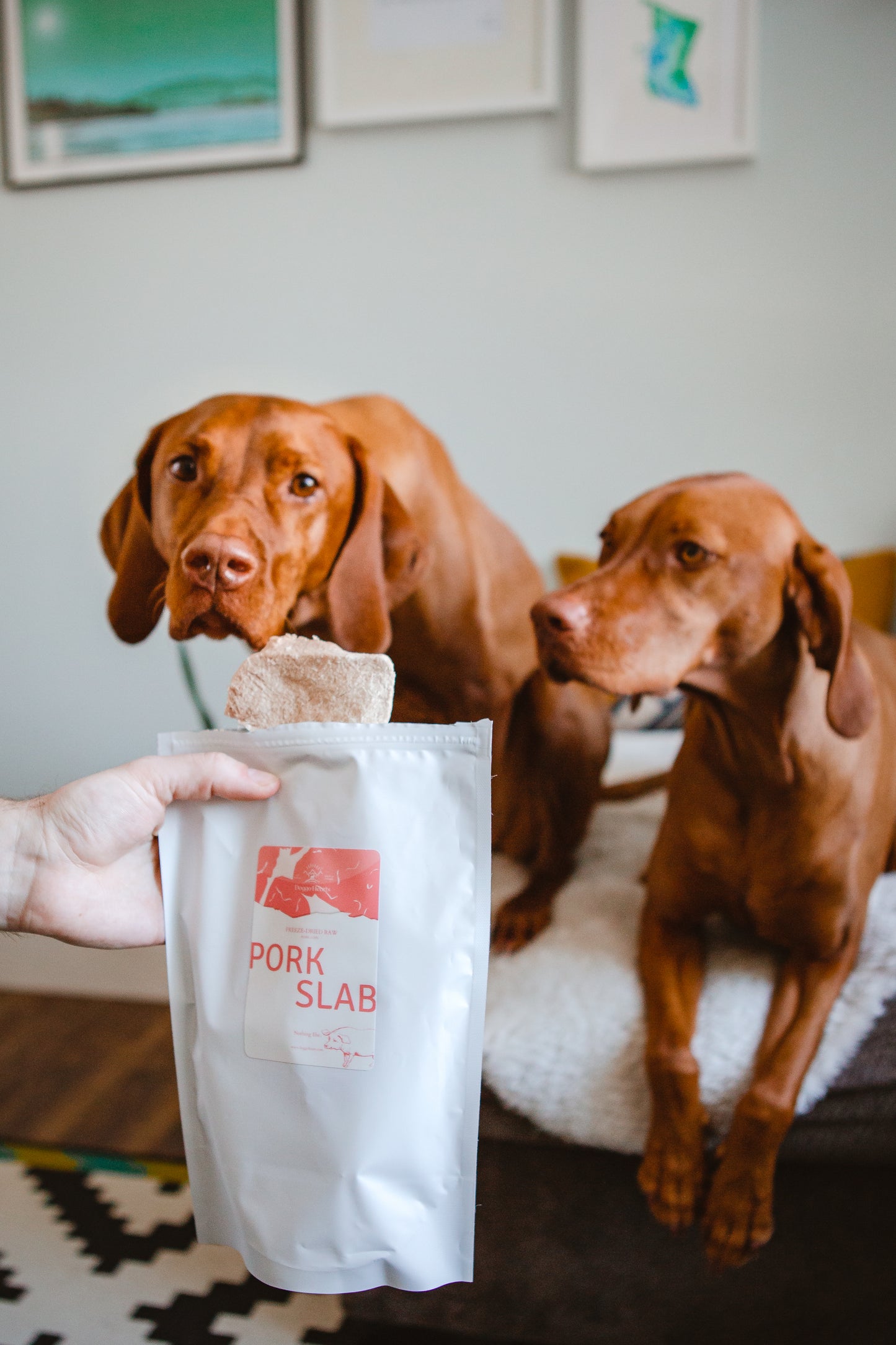 Freeze-Dried Pork Slab