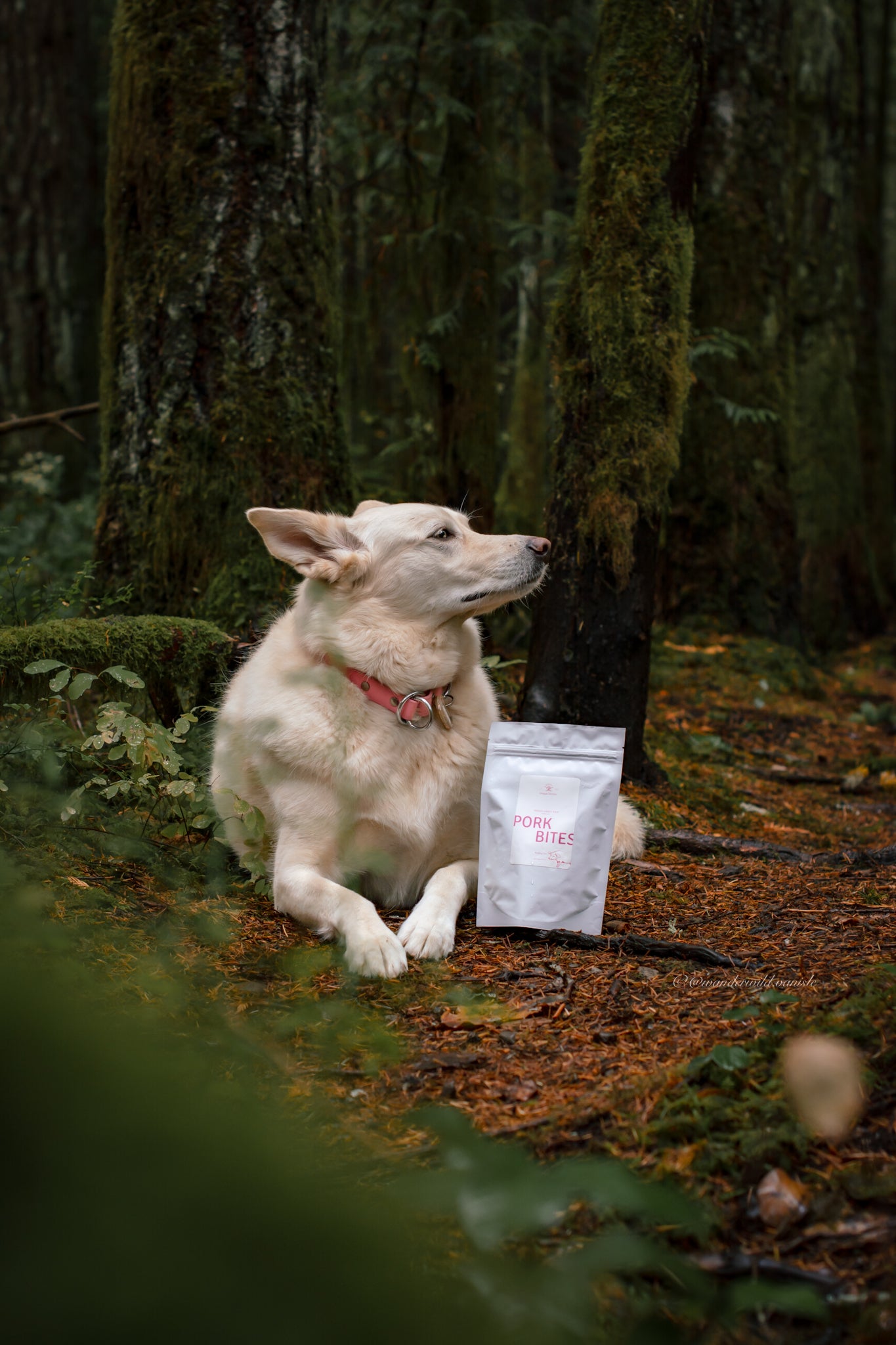 Freeze-Dried Pork Bites