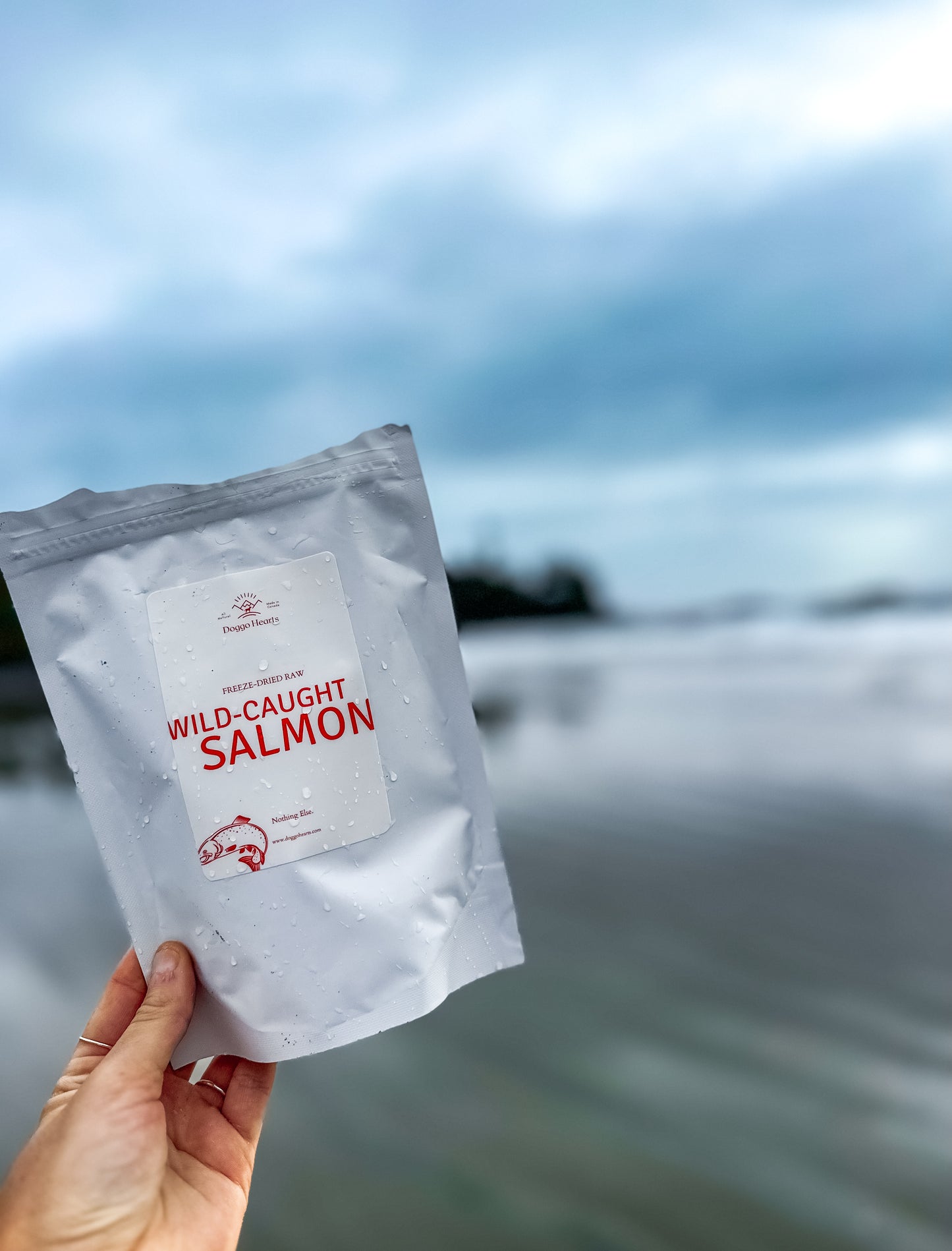 Freeze-Dried Wild-Caught Salmon