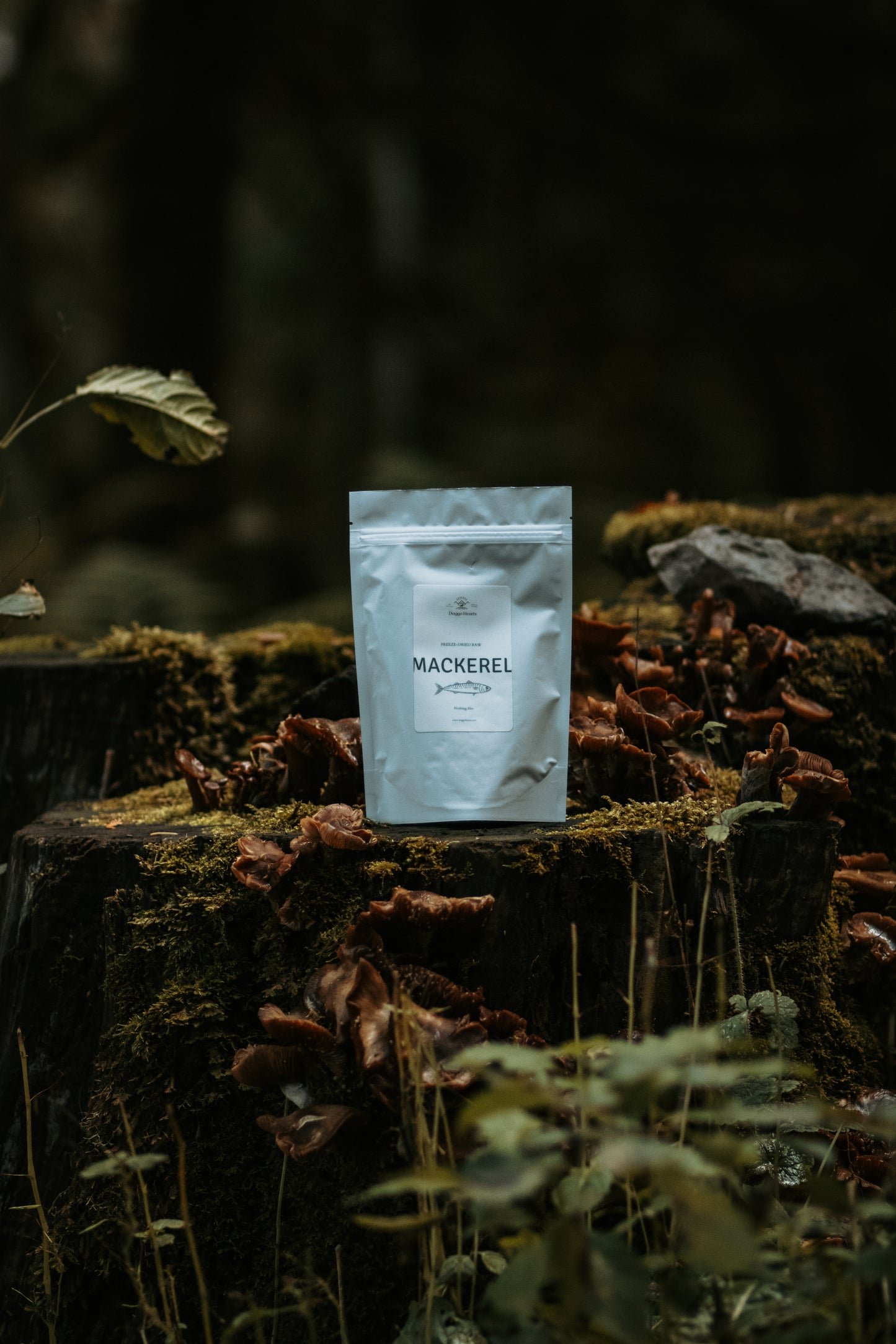 Freeze-Dried Mackerel