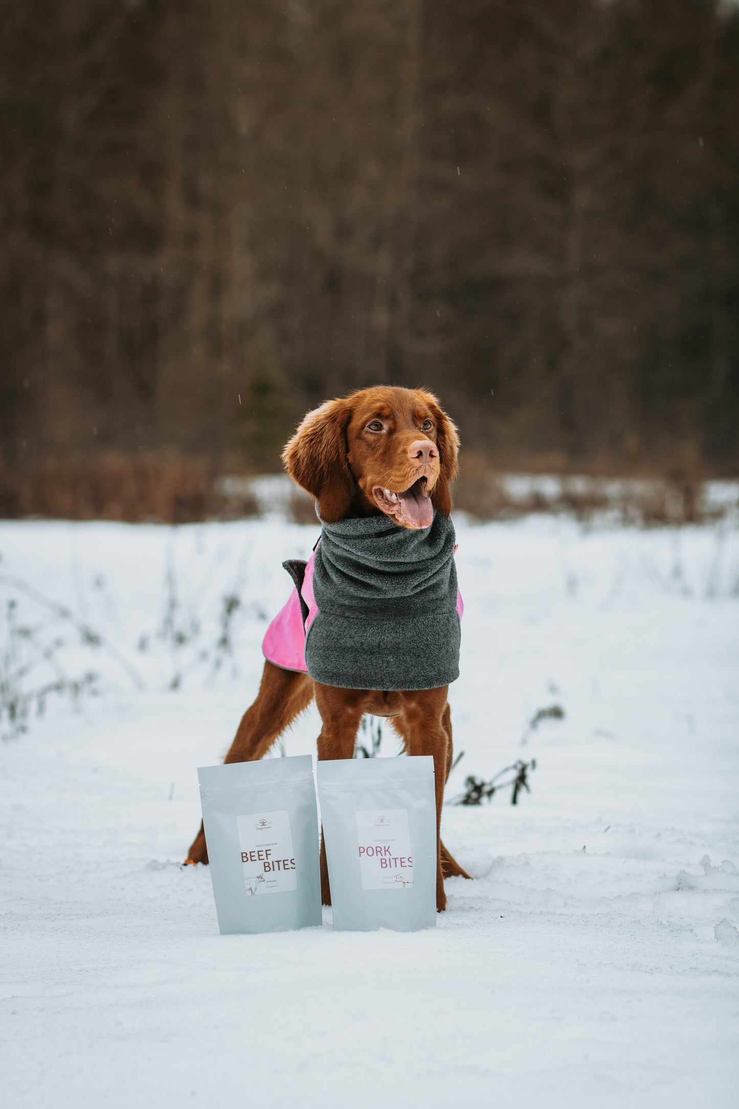 Freeze-Dried Pork Bites