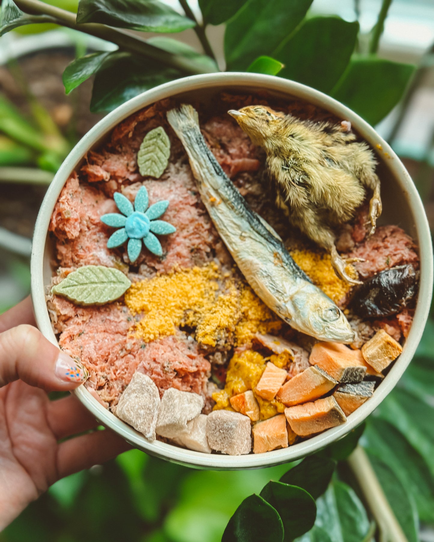Freeze-Dried Pork Bites