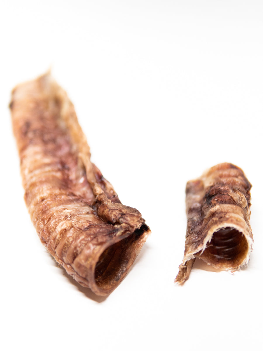 Beef Trachea