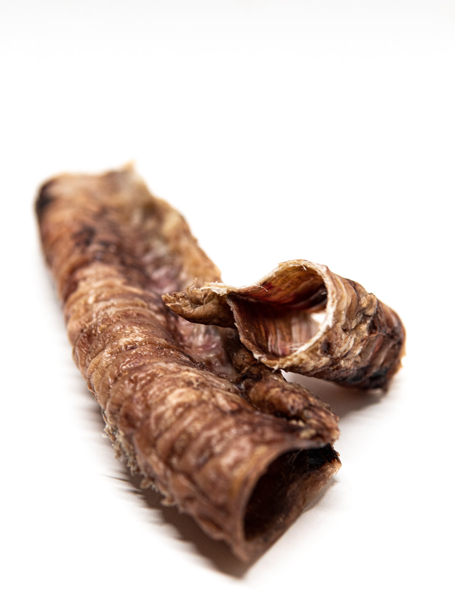 Beef Trachea