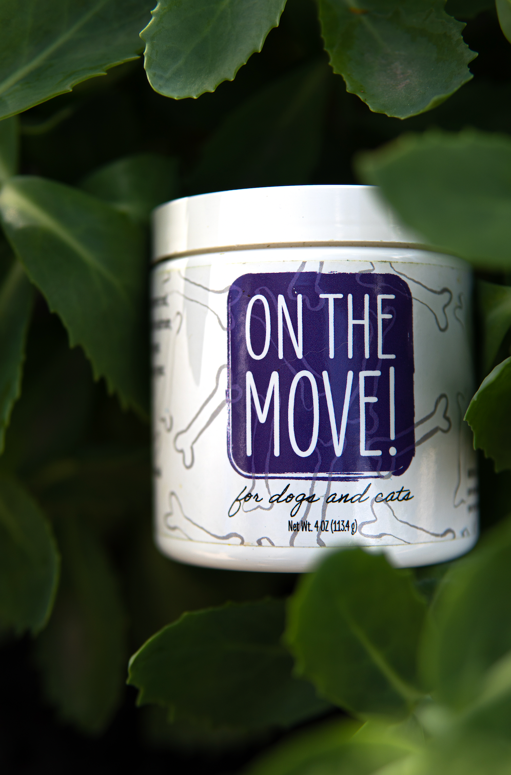On The Move