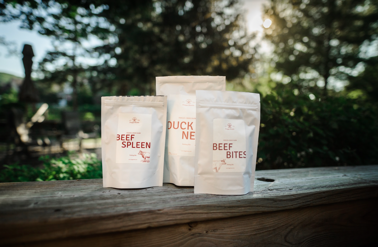 Freeze-Dried Beef Bites