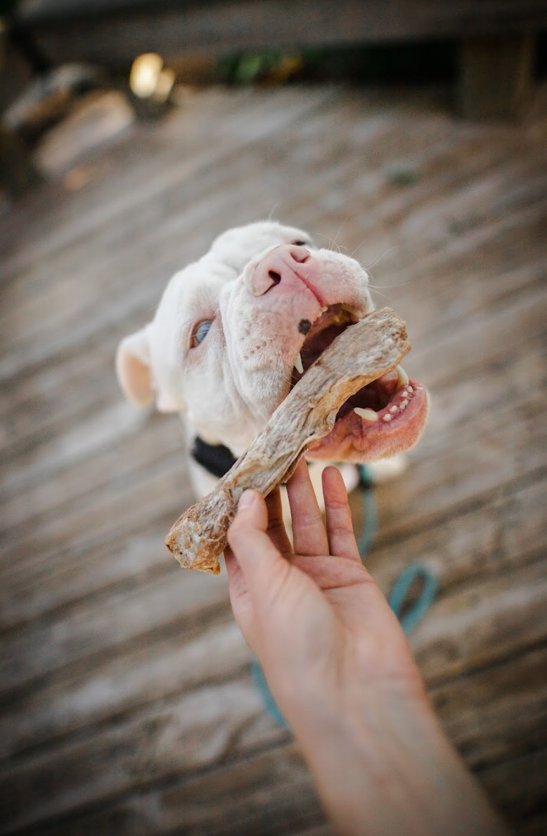 Freeze-Dried Duck Necks