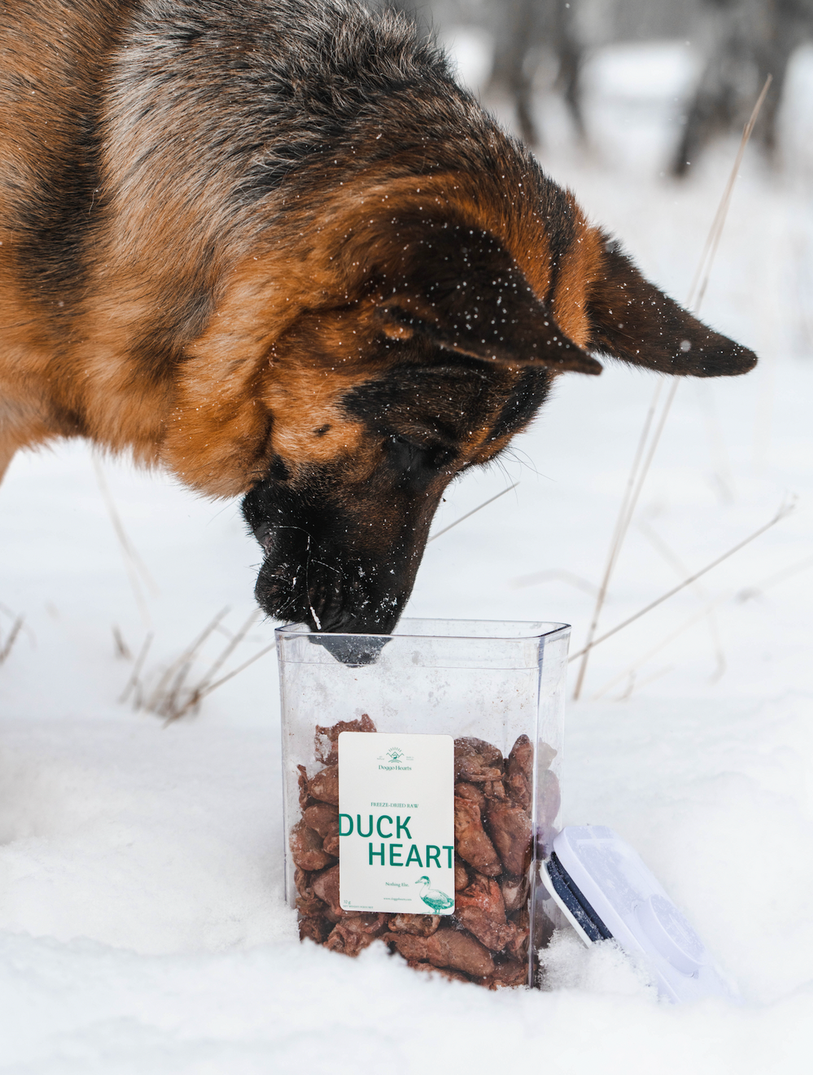 Freeze-Dried Duck Hearts