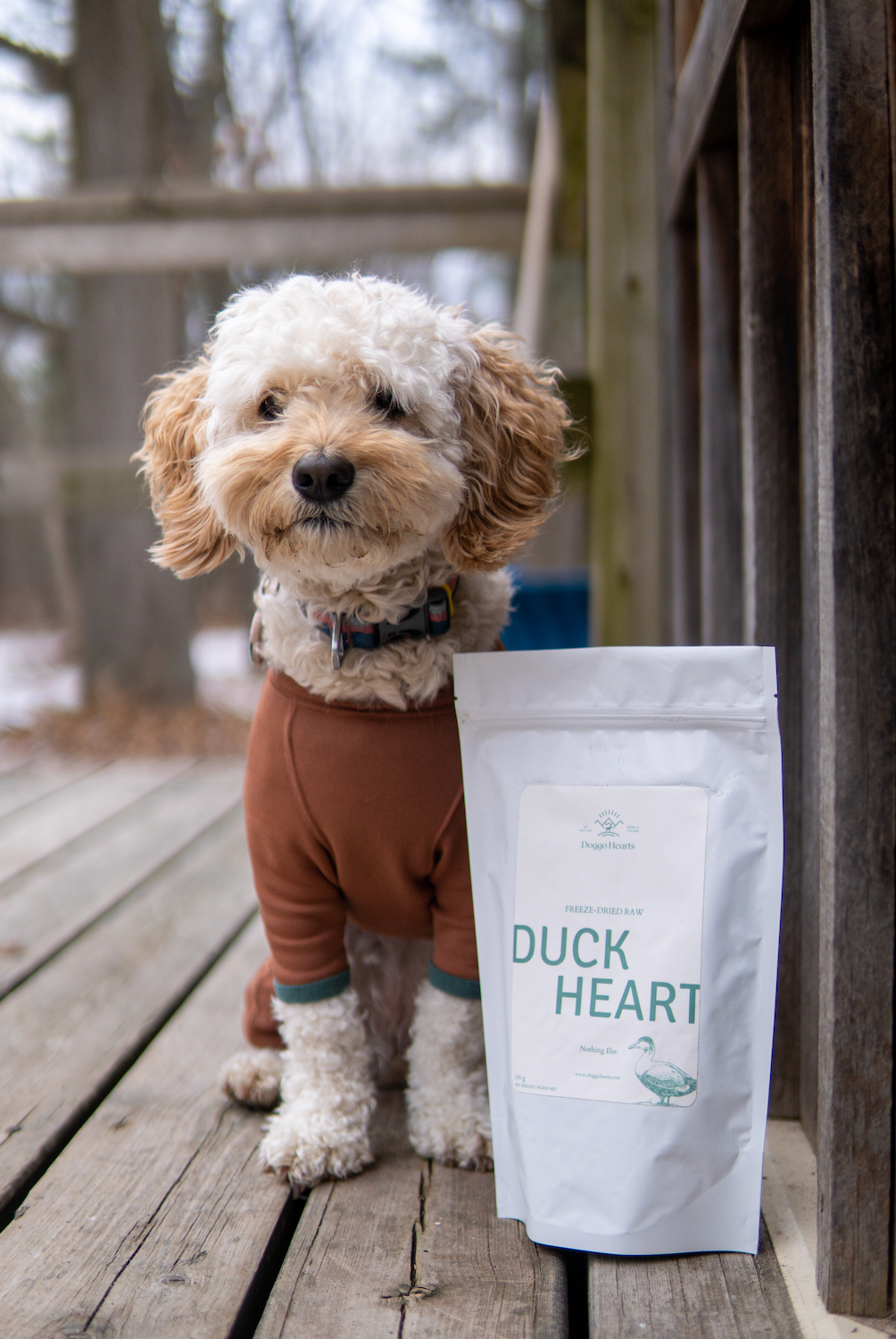 Freeze-Dried Duck Hearts