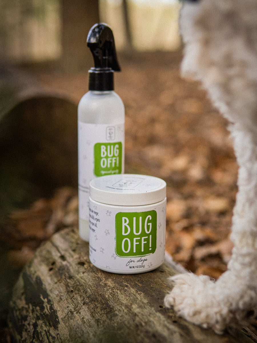 Bug Off for Dogs
