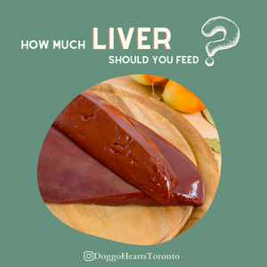 How much liver should you feed to your dog?