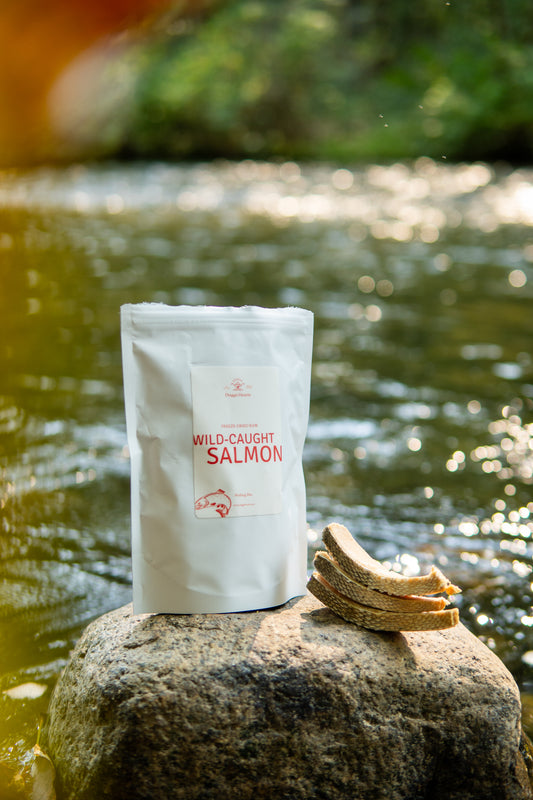 Freeze-Dried Wild-Caught Salmon