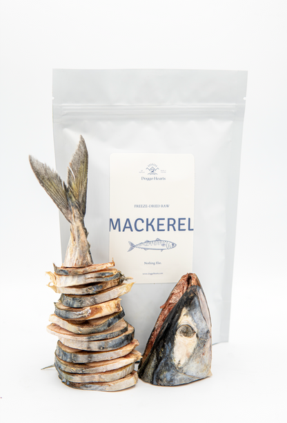 Freeze-Dried Mackerel