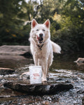 Freeze-Dried Sockeye Salmon