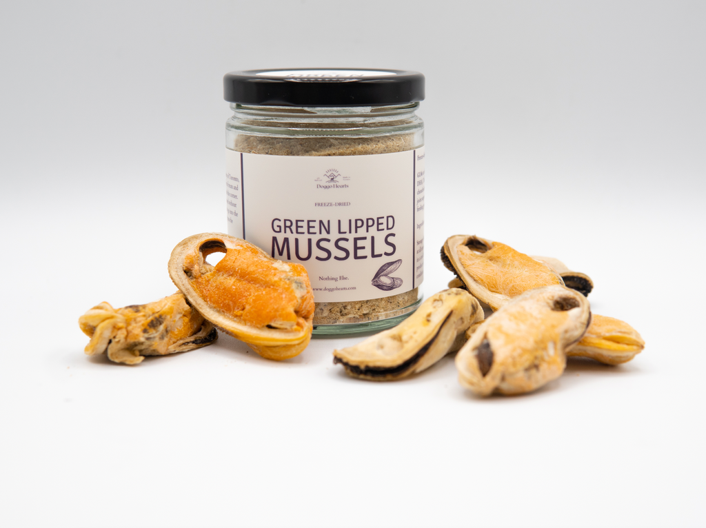 Dehydrated green hot sale lipped mussels