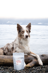 Freeze-Dried Sockeye Salmon